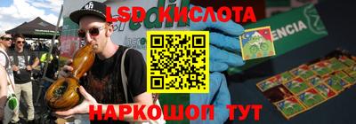 индика Лесосибирск