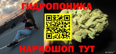 индика Лесосибирск