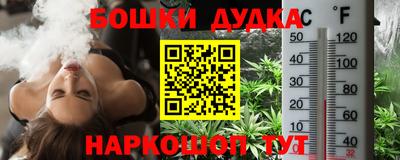 индика Лесосибирск