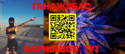 индика Лесосибирск