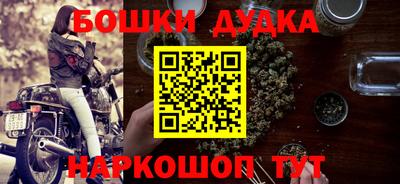 индика Лесосибирск