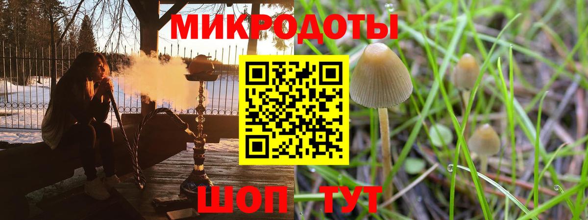 Псилоцибиновые грибы GOLDEN TEACHER  Вход с VPN  Узловая  Галлюциногенные грибы мухоморы 